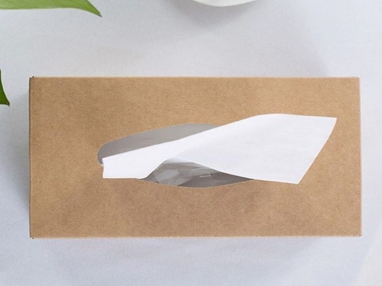 Các mẫu khăn giấy rút phù hợp với sự kiện ngoài trời và picnic