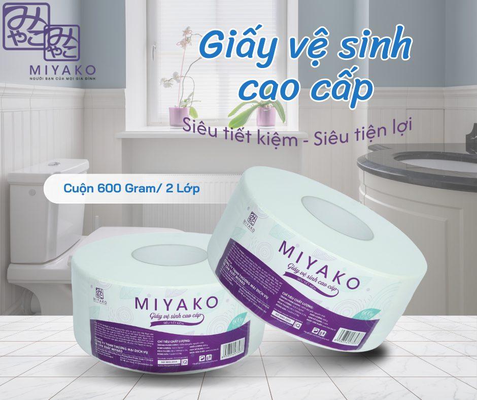 Hướng dẫn chọn giấy vệ sinh cuộn lớn theo nhu cầu