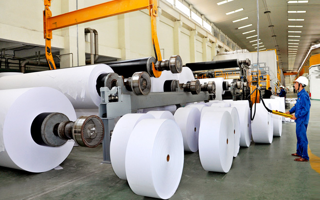 Thế nào là nhà cung cấp giấy vệ sinh cuộn lớn uy tín?