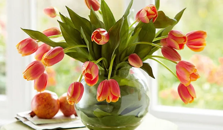 Hoa tulip giấy vệ sinh trong văn hóa và nghệ thuật