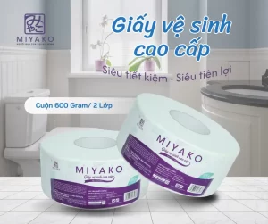 Giấy vệ sinh cuộn lớn giá sỉ tphcm