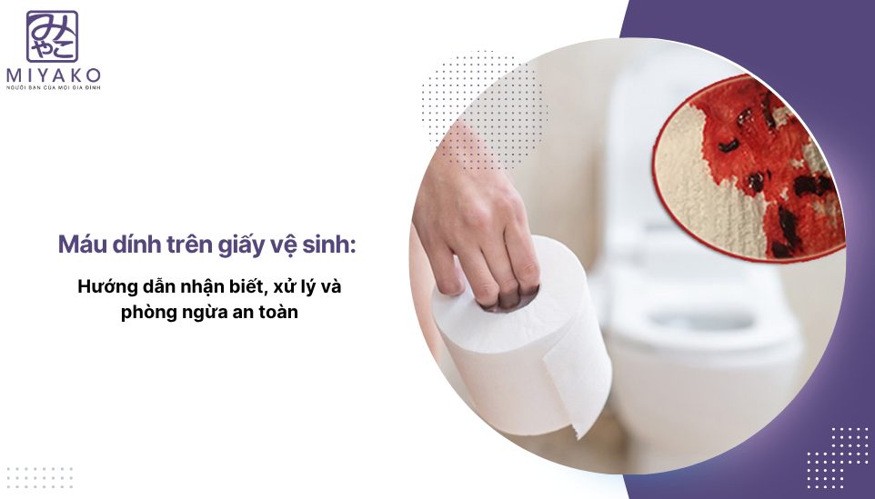 Máu dính trên giấy vệ sinh: Hướng dẫn nhận biết, xử lý và phòng ngừa an toàn