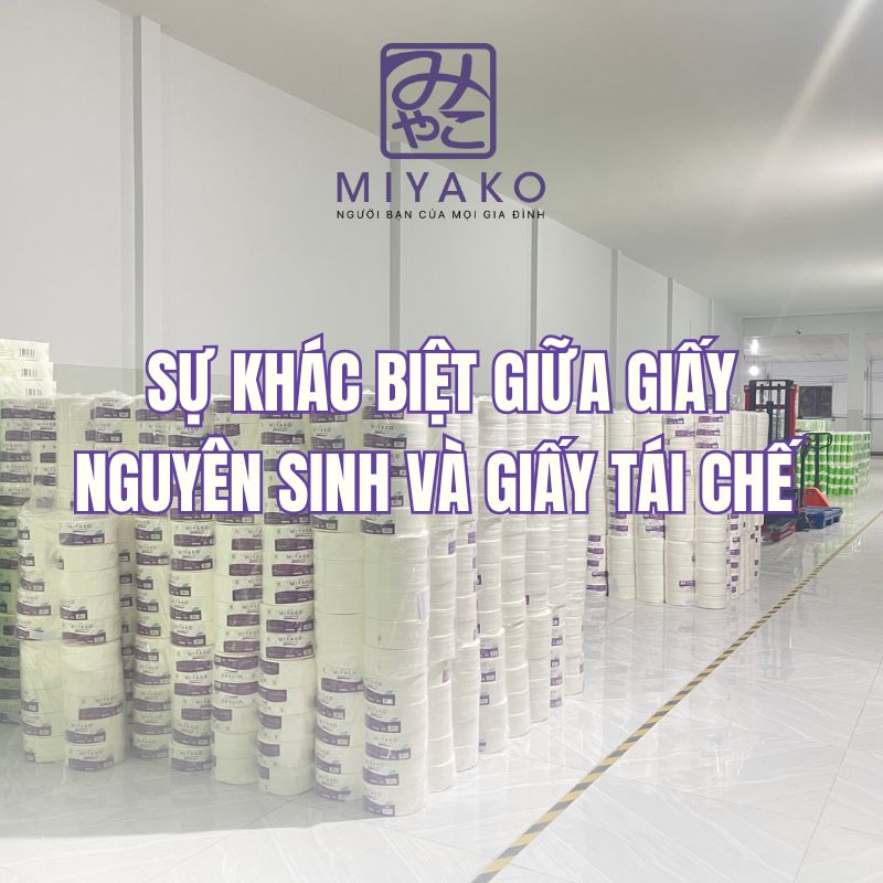 Chất liệu khăn giấy – Thứ nhỏ mà không hề nhỏ