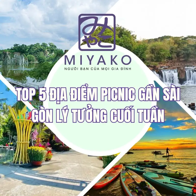 Địa điểm picnic gần Sài Gòn lý tưởng cuối tuần cùng gia đình và bạn bè – Không gian xanh, thoáng mát, dễ di chuyển