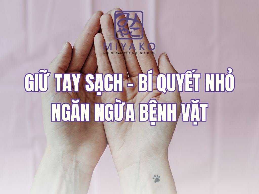 Giữ tay sạch – Bí quyết nhỏ ngăn ngừa bệnh vặt