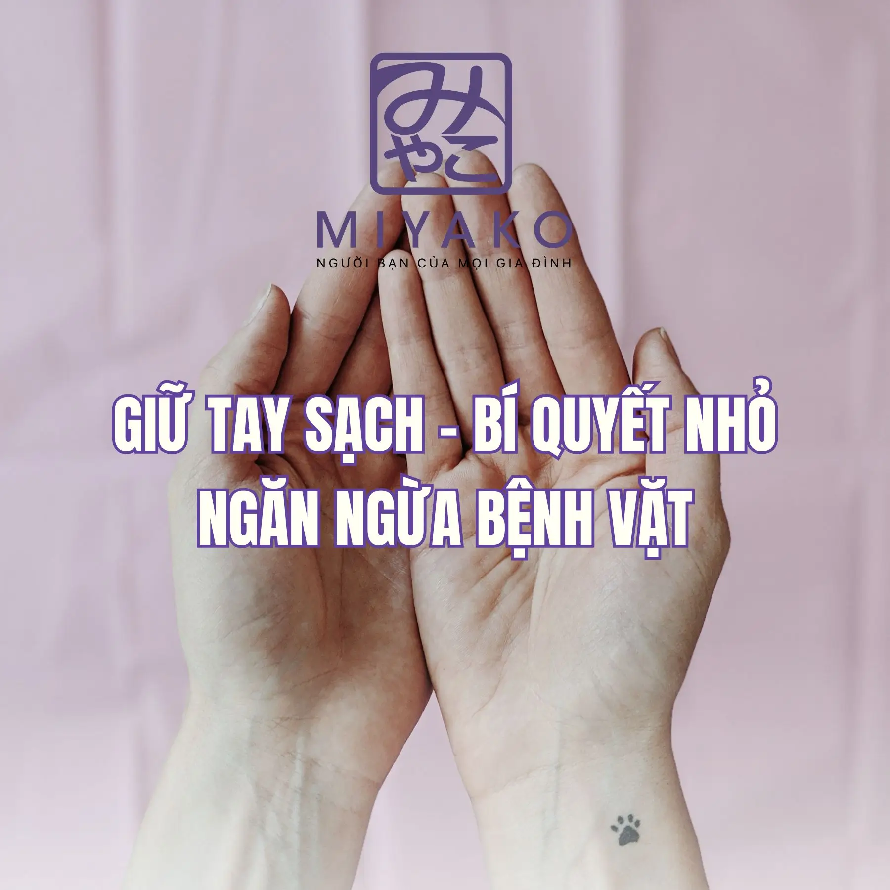 Giữ tay sạch – Bí quyết nhỏ ngăn ngừa bệnh vặt hiệu quả mỗi ngày