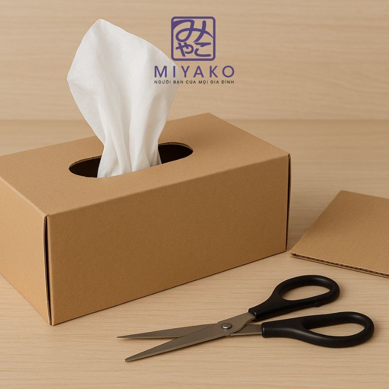 Làm hộp khăn giấy rút từ hộp carton