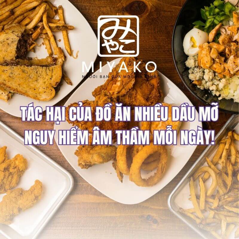 Tác hại của đồ ăn nhiều dầu mỡ – Gây ảnh hưởng sức khỏe và làn da nếu sử dụng thường xuyên