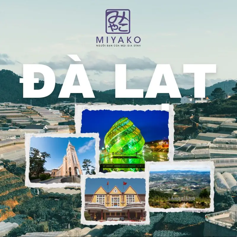 Top địa điểm du lịch Đà Lạt nhất định phải đi
