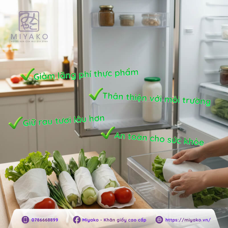 Top những lợi ích khi bảo quản rau củ bằng khăn giấy chất lượng