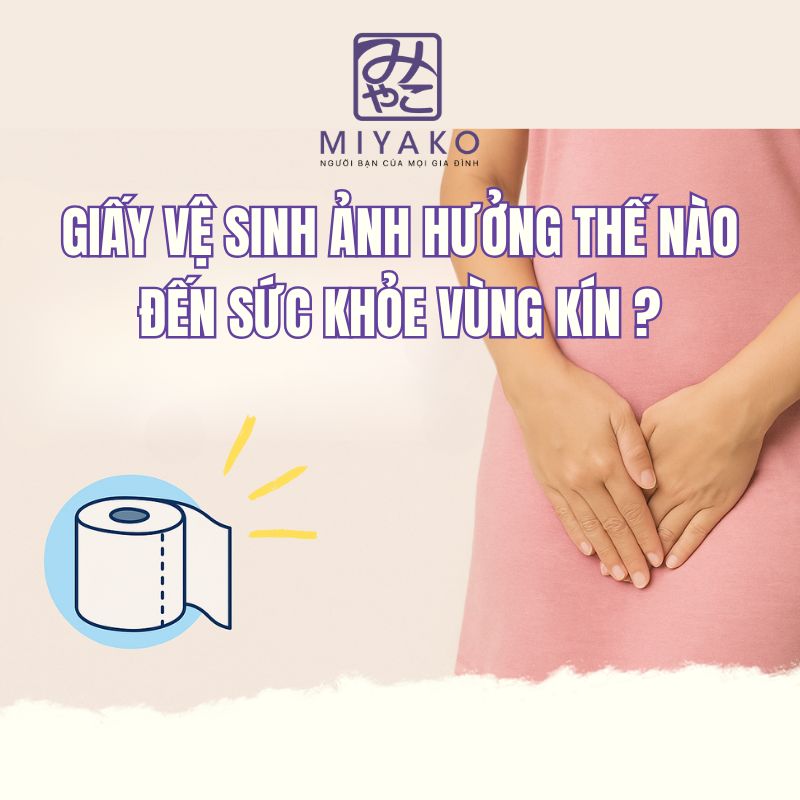 Giấy vệ sinh ảnh hưởng sức khỏe vùng kín 