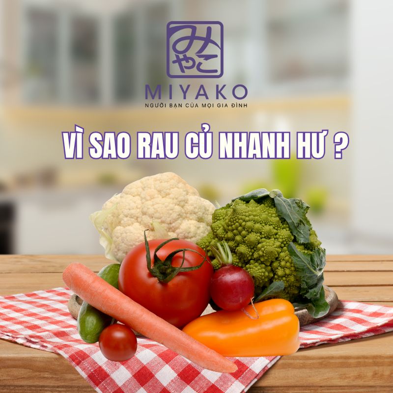 Vì sao rau củ nhanh hư và cách bảo quản tươi lâu hơn mỗi ngày