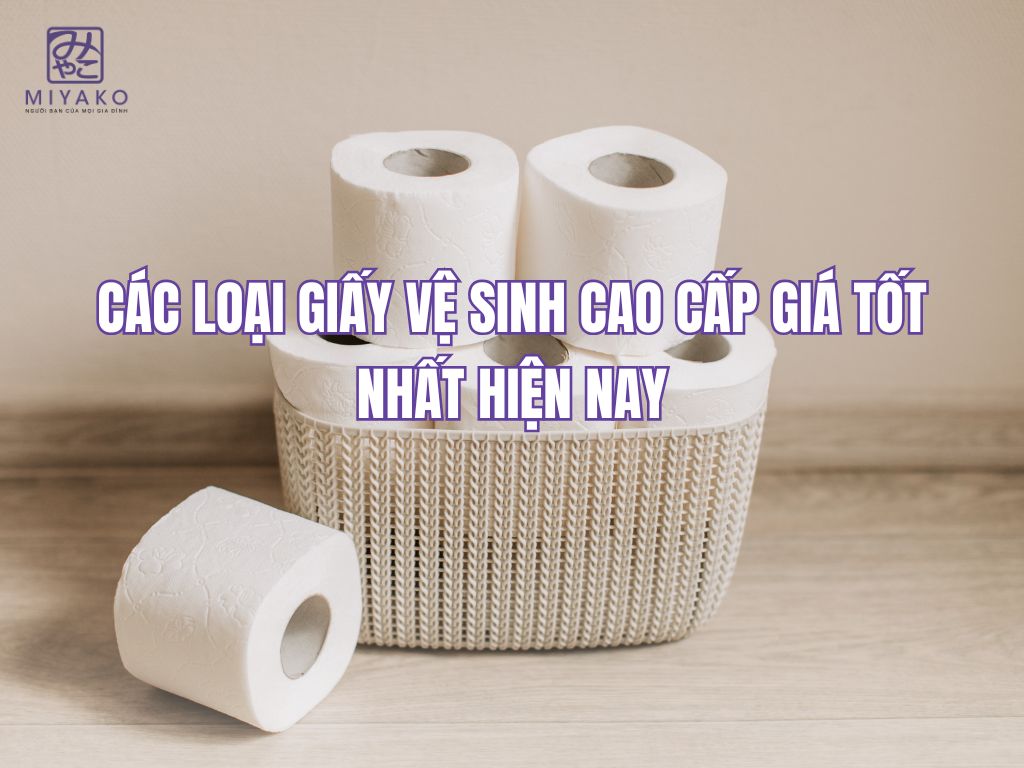 Các loại giấy vệ sinh cao cấp giá tốt nhất hiện nay