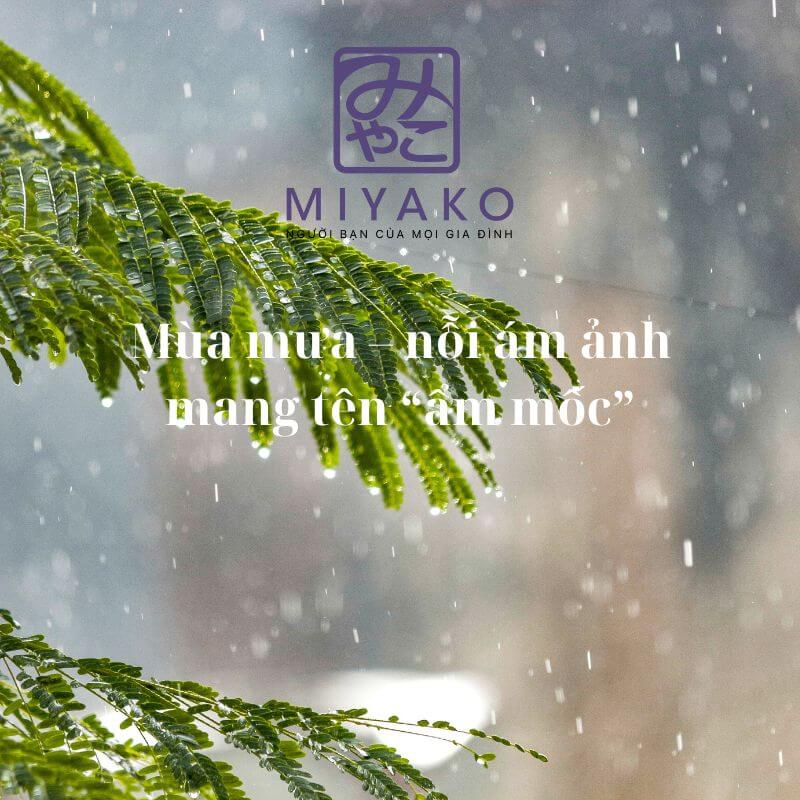 Vì sao nhà hay ẩm mốc trong mùa mưa?