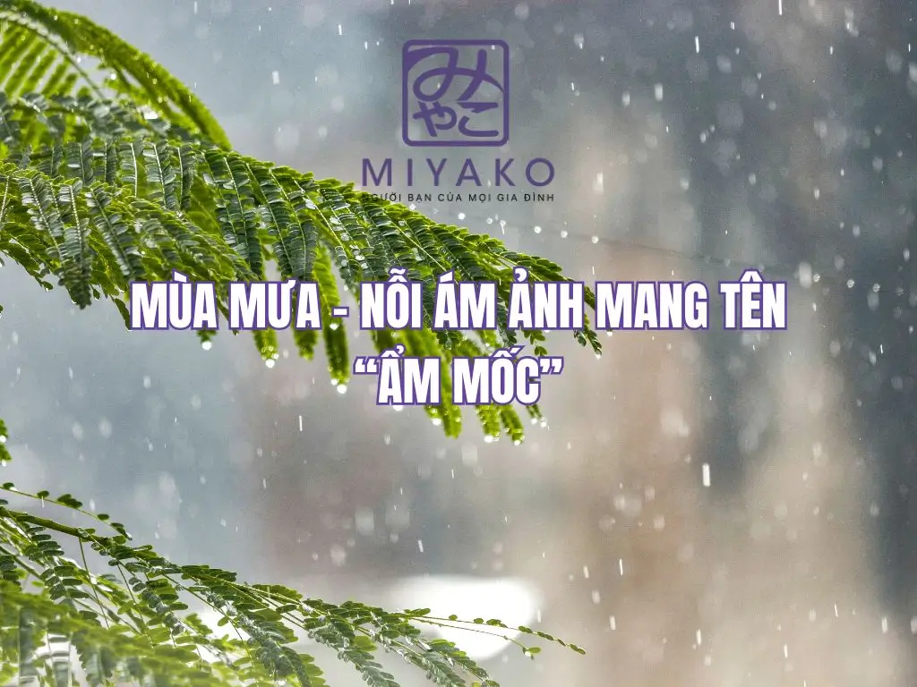 Nhà bạn có bị ẩm mốc mùa mưa? Đọc ngay 7 mẹo cực dễ
