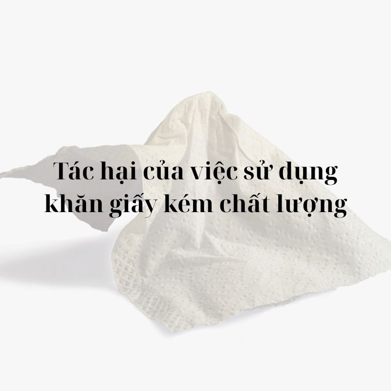 Cách kiểm tra khăn giấy nhà hàng