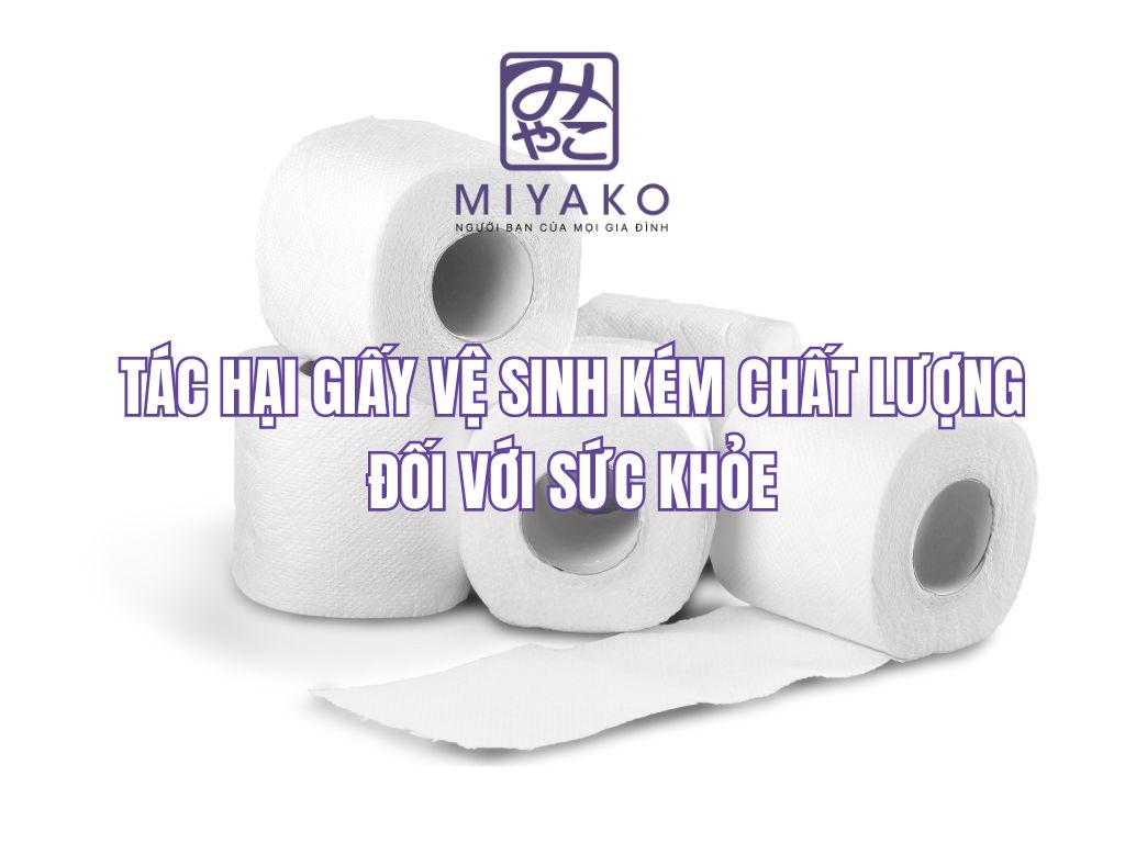 Tác hại giấy vệ sinh kém chất lượng đối với sức khỏe