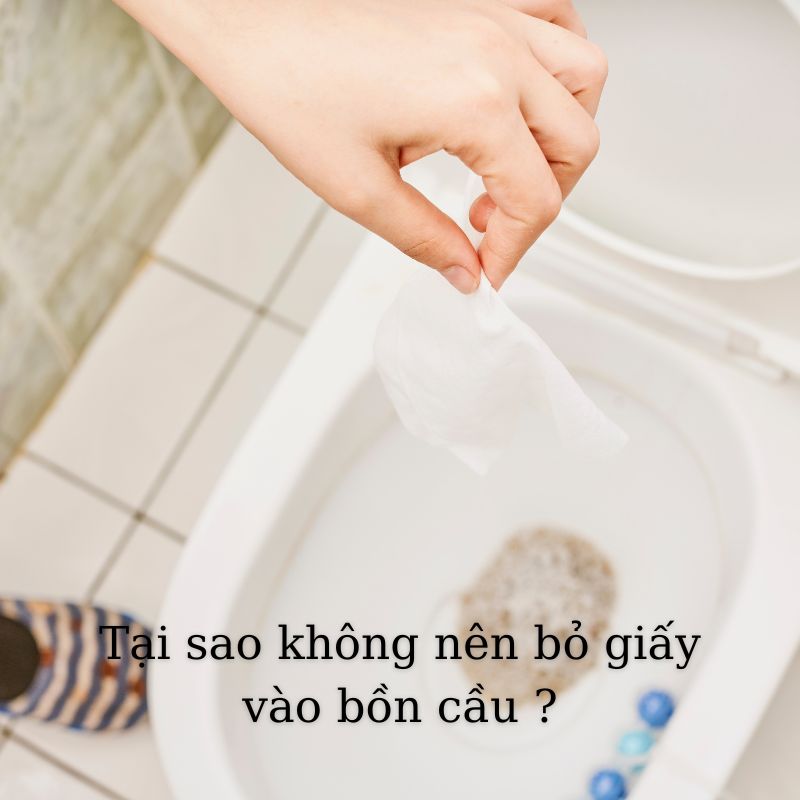 Tầm quan trọng của thói quen không bỏ giấy vào bồn cầu