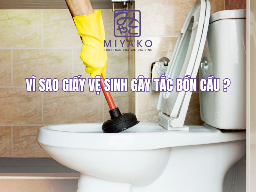 Bồn Cầu Tắc Do Giấy Vệ Sinh – 5 Cách Xử Lý Nhanh Gọn, Không Cần Gọi Thợ