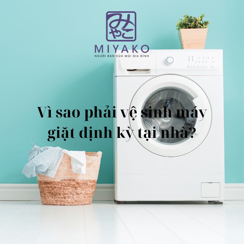 Vì sao phải vệ sinh máy giặt định kỳ tại nhà?