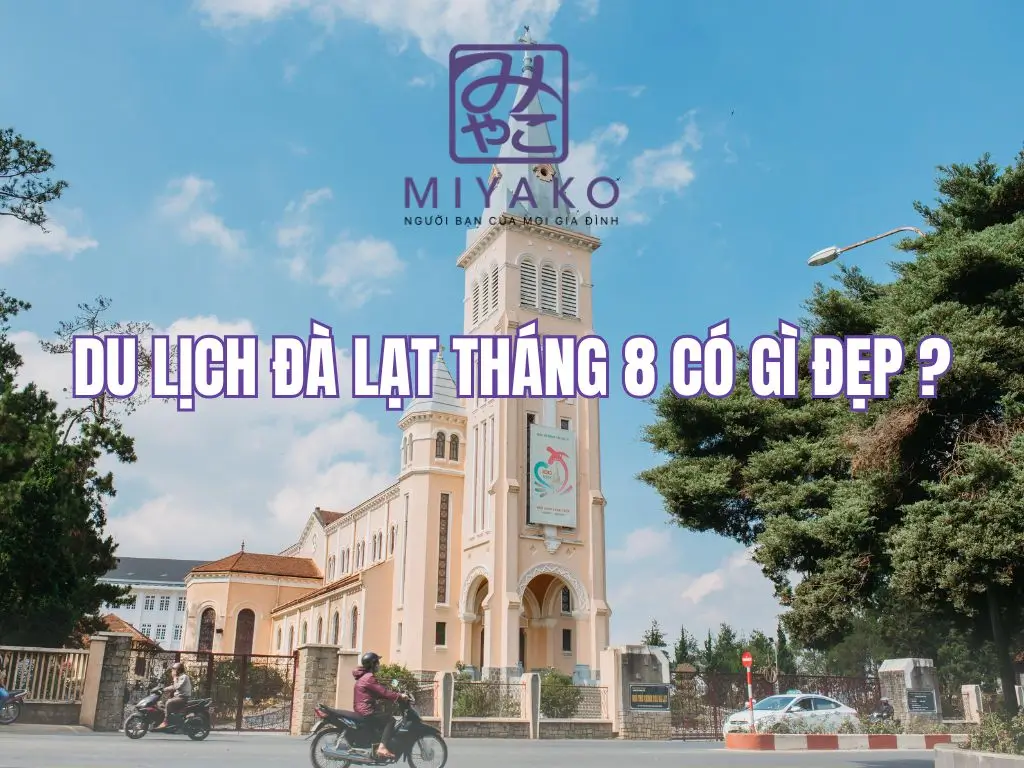 Đà Lạt tháng 8 có gì đẹp? Thời tiết, ăn gì, đi đâu?