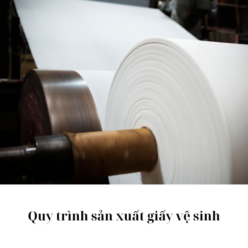 Quy trình sản xuất giấy vệ sinh