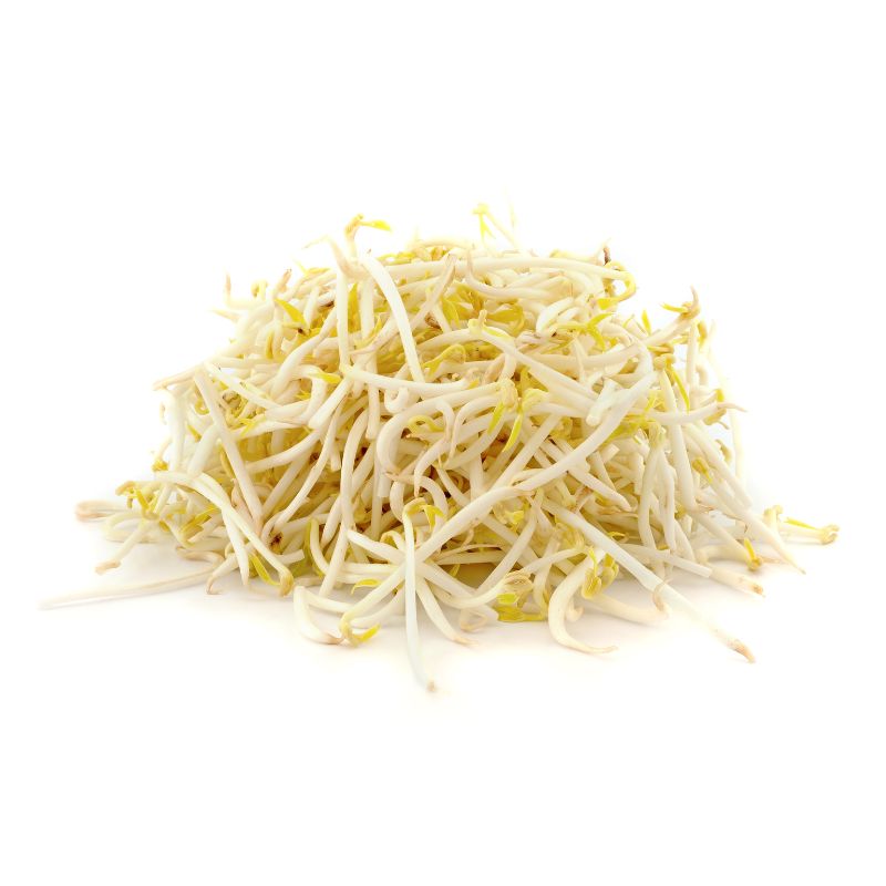Cách trồng giá bằng khăn giấy