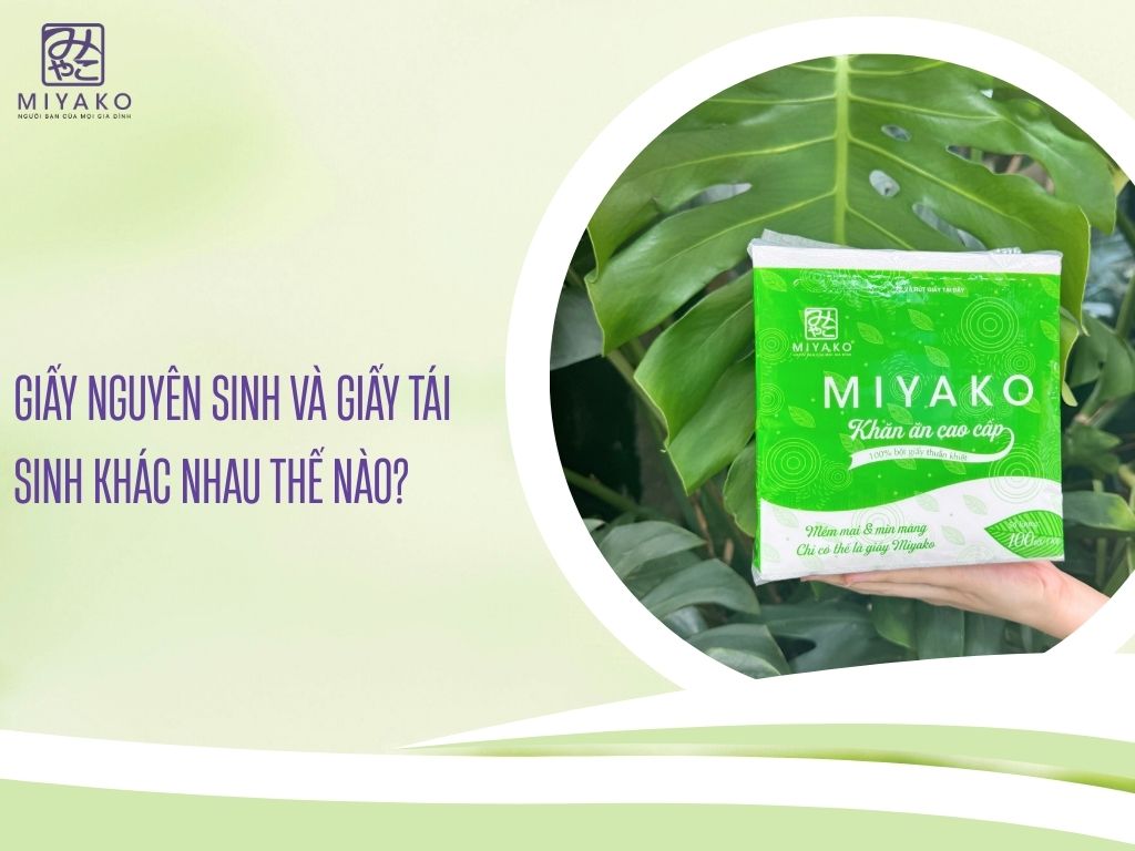 Giấy nguyên sinh và giấy tái sinh khác nhau thế nào ?