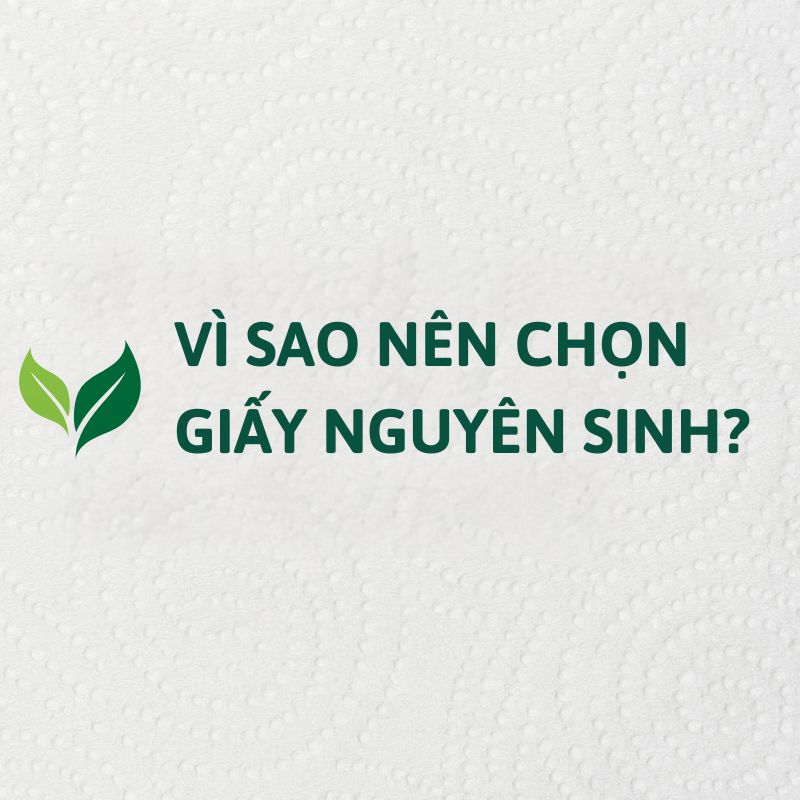 Vì sao nên chọn giấy nguyên sinh ?