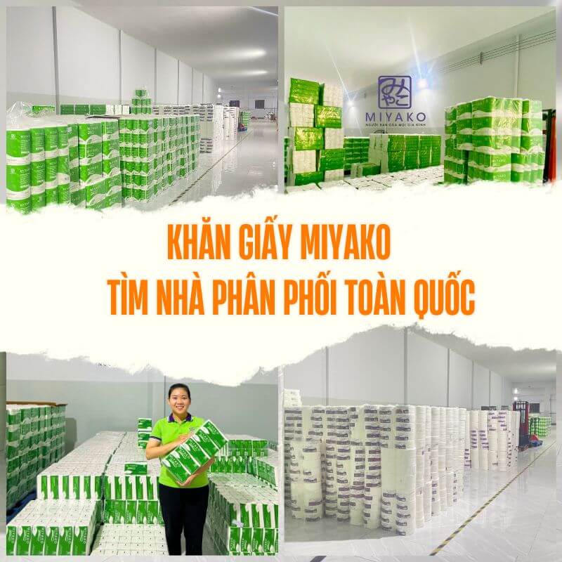 khăn giấy Miyako tìm nhà phân phối