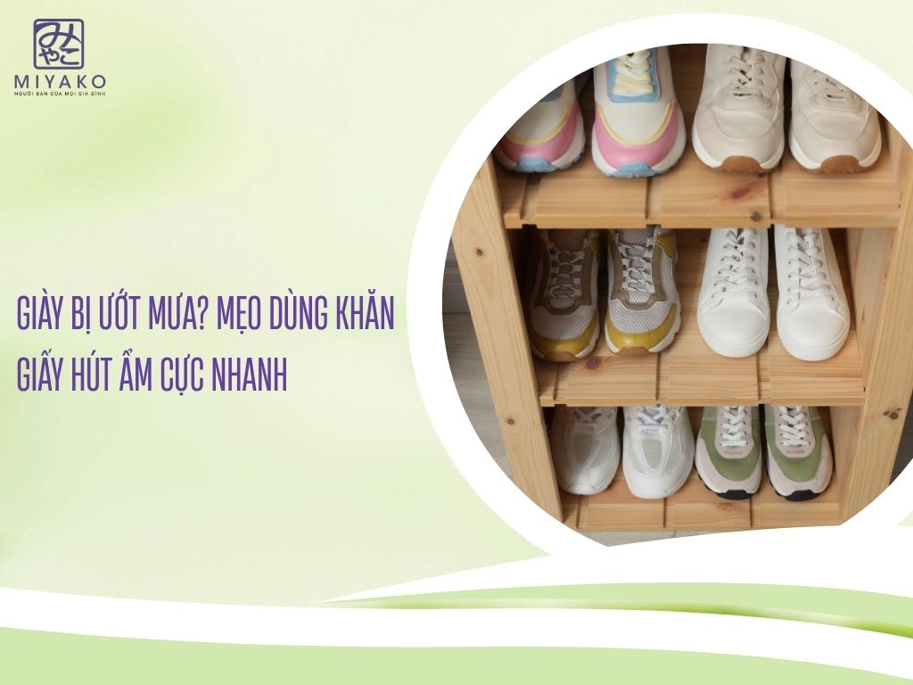 Giày bị ướt mưa - Mẹo dùng khăn giấy hút ẩm cực nhanh