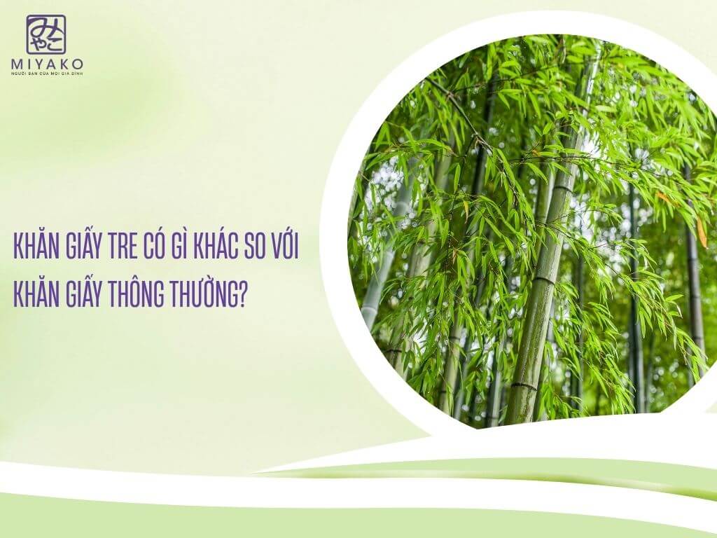 Khăn giấy tre có gì khác so với khăn giấy thông thường?