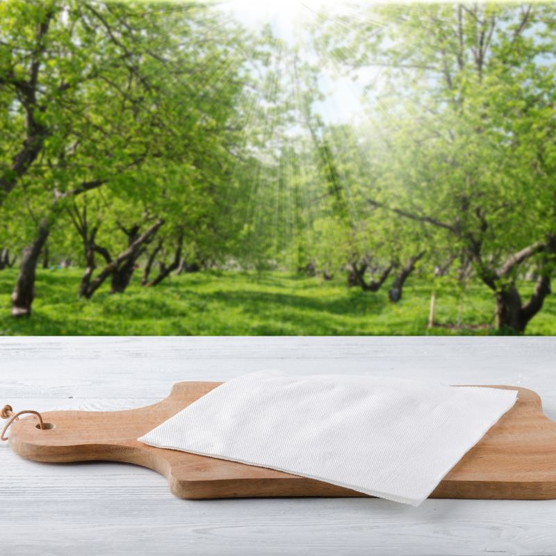 Khi chọn giấy lót chèn bàn ăn, hãy lưu ý một vài yếu tố để đảm bảo vừa thẩm mỹ, vừa tiện lợi