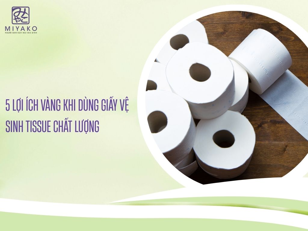 5 Lợi Ích Vàng Khi Dùng Giấy Vệ Sinh Tissue Chất Lượng