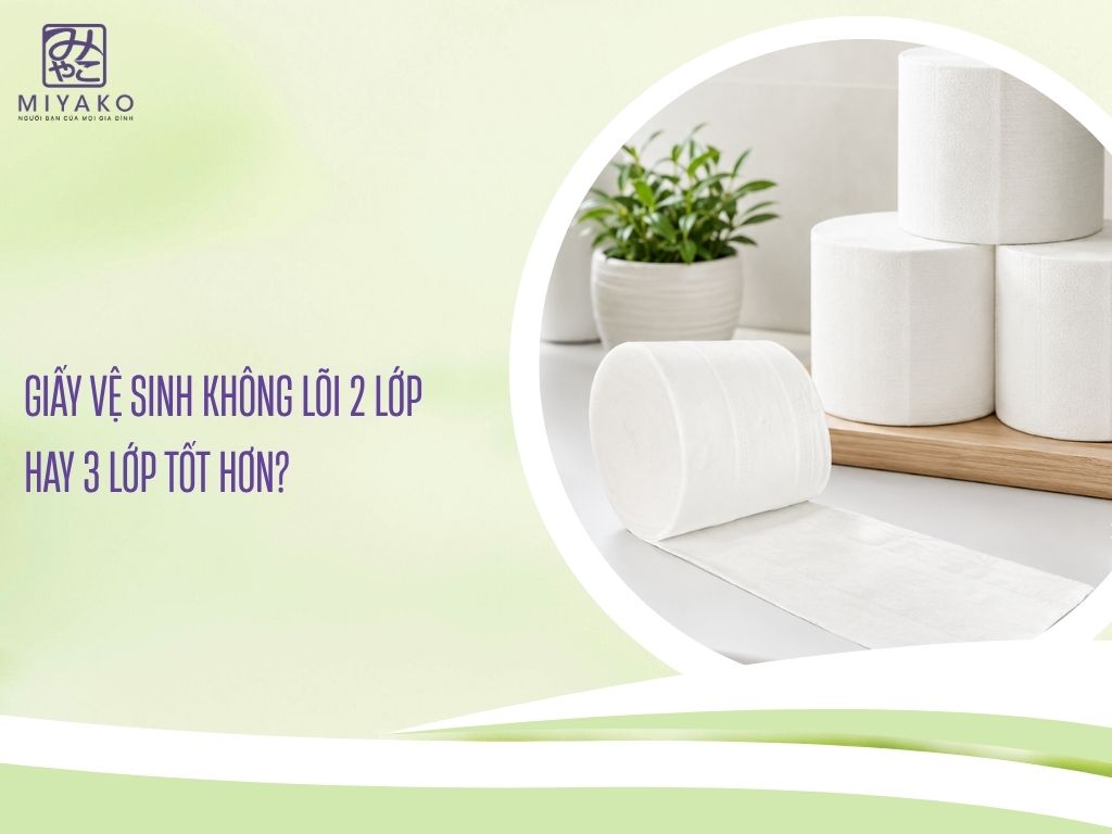 Giấy Vệ Sinh Không Lõi 2 Lớp Hay 3 Lớp Tốt Hơn