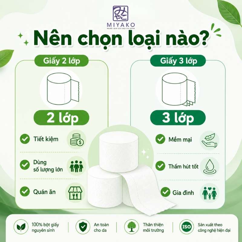 Nên chọn giấy vệ sinh không lõi 2 lớp hay 3 lớp