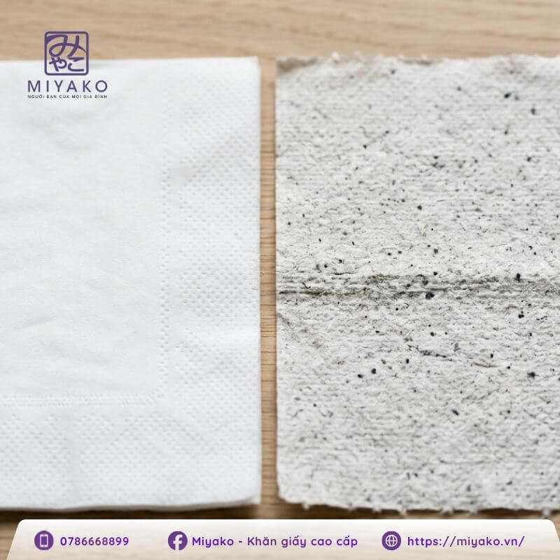 Sự khác biệt rõ rệt về màu sắc và bề mặt giữa khăn giấy cao cấp và khăn giấy tái chế