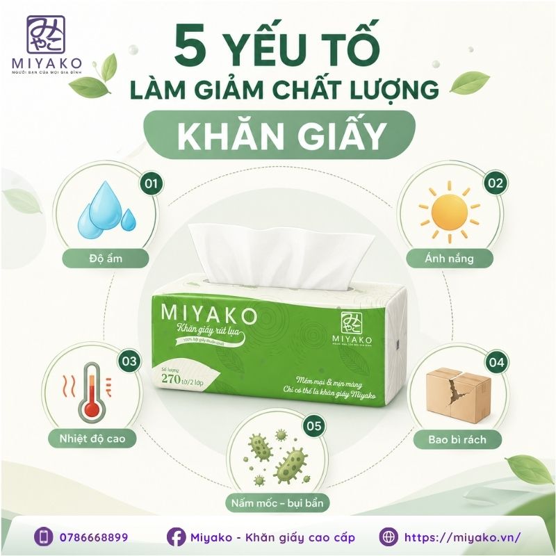 Các yếu tố ảnh hưởng đến hạn sử dụng của khăn giấy