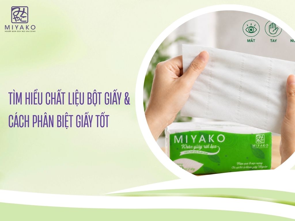 Tìm Hiểu Chất Liệu Bột Giấy & Cách Phân Biệt Giấy Tốt