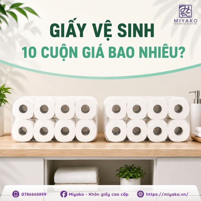 Lốc giấy vệ sinh 10 cuộn giá bao nhiêu trên thị trường