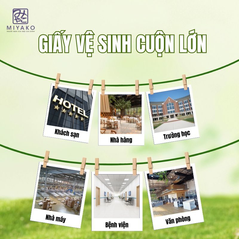 Không gian phù hợp để sử dụng giấy vệ sinh cuộn lớn